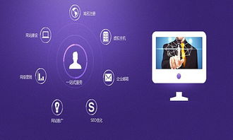 網(wǎng)站建設(shè)解密 如何搭建尖端型網(wǎng)站？CCTV上榜品牌靈貓電商為你指點(diǎn)迷津